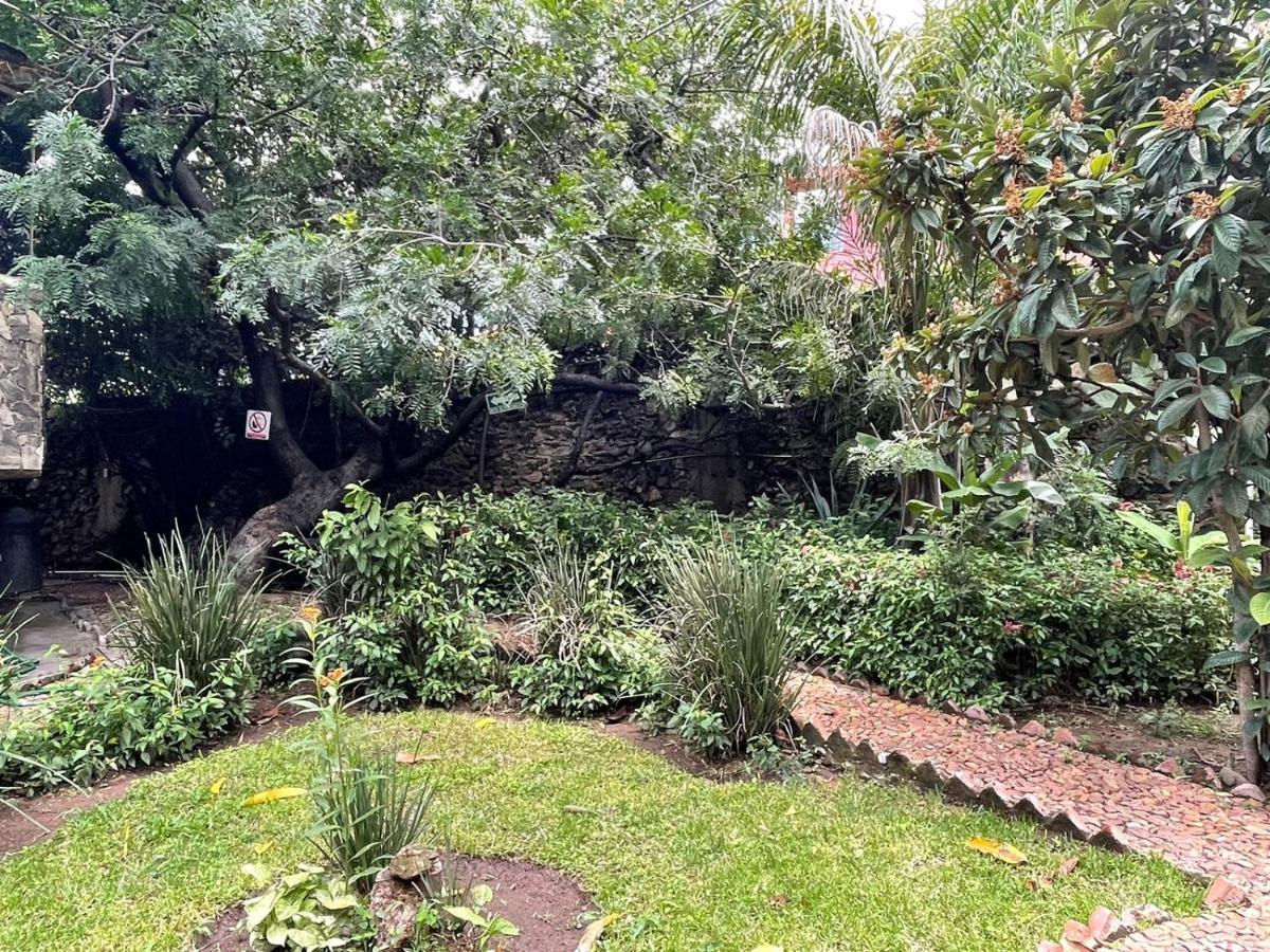 La Casa De Los Mangos Ajijic San Antonio Tlayacapan Bagian luar foto