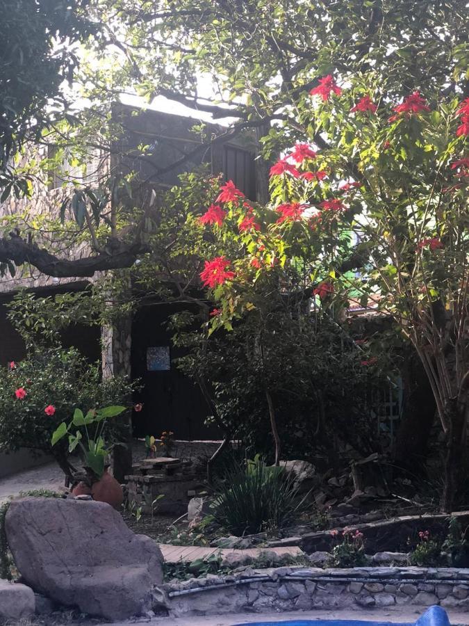 La Casa De Los Mangos Ajijic San Antonio Tlayacapan Bagian luar foto